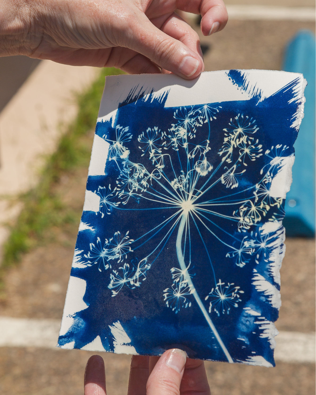 Cyanotype Printing Workshop