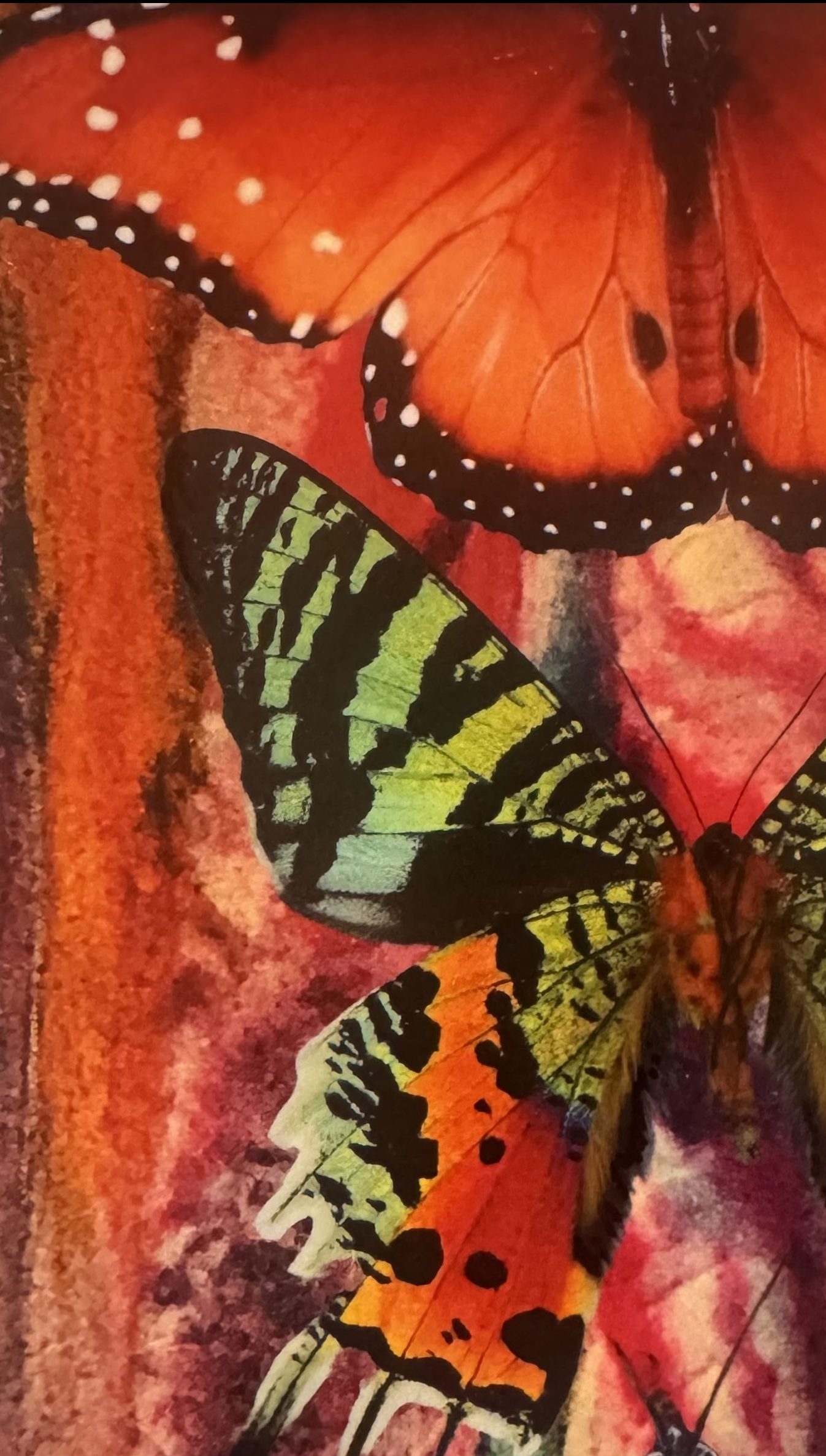 waso. Exploring Collage October 5th - Image 1